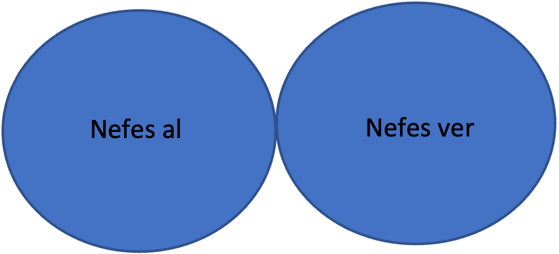 Nefes Şeması